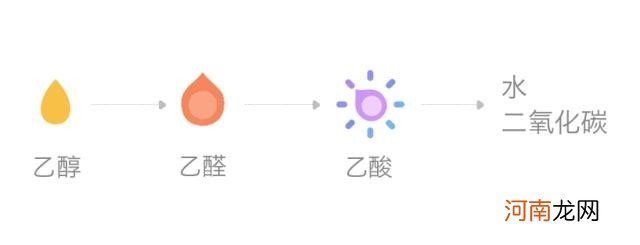 瞬间醒酒最好的办法 8个解酒的好方法