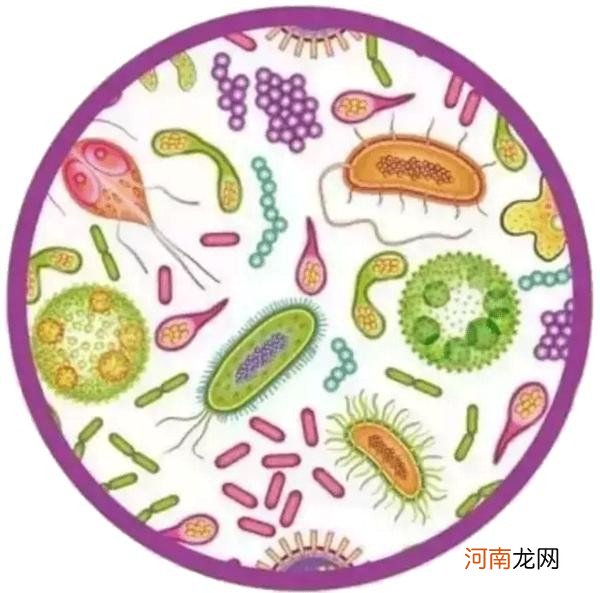 益生菌的服用和储藏 益生菌可分成三大类