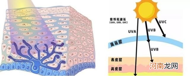 孕妈护肤首先要搞懂这三点 孕妇要用专门的护肤品吗