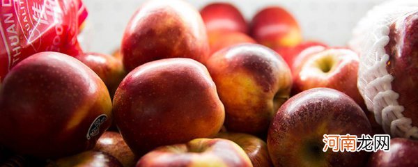 什么时候吃苹果减肥效果好 什么时候吃苹果最好并且可以减肥