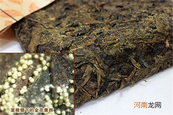 喝安化黑茶的正确方式