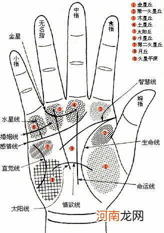 教你如何看手相 手相怎么看图解