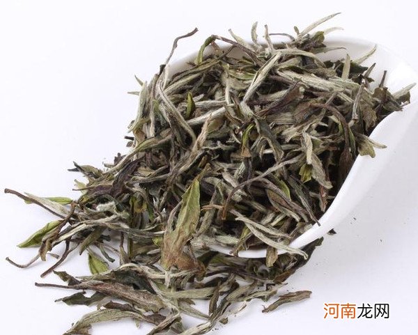 白茶的历史记载