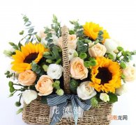 送老师的9种鲜花 哪些花适合送老师呢
