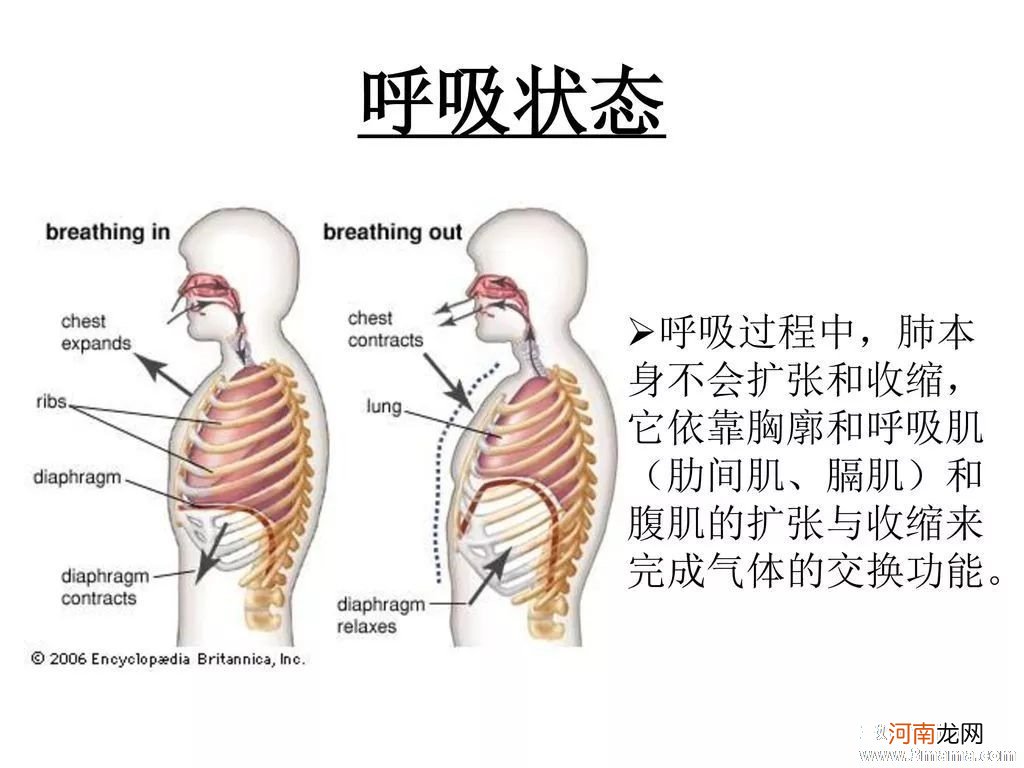 如何应对孕期两种不同的腹痛