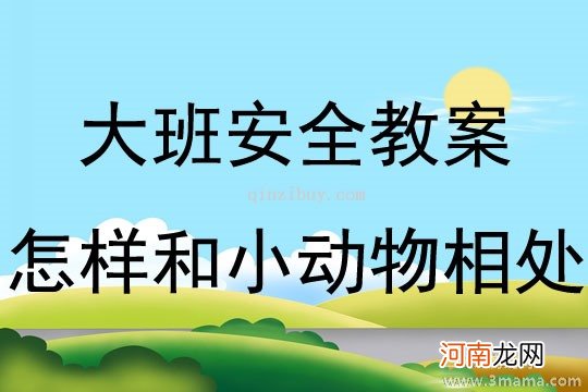 附教学反思 中班安全活动教案:这些东西不能碰教案