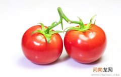 孕晚期可以吃西红柿吗
