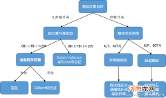 孕晚期间接胆红素偏高