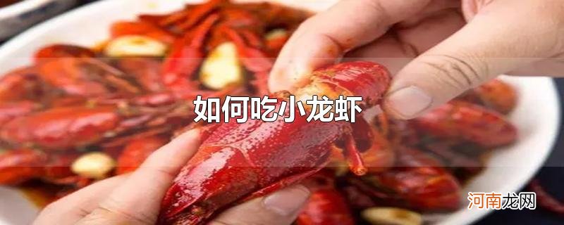 如何吃小龙虾优质