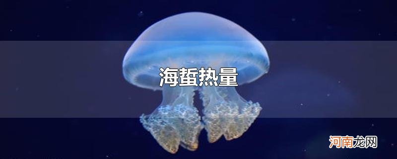 海蜇热量优质