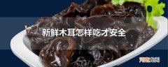 新鲜木耳怎样吃才安全优质