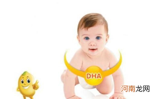 宝dha要吃多长时间 dha有哪些作用