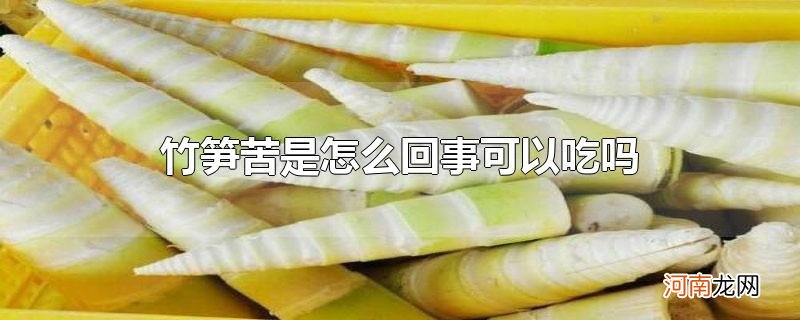 竹笋苦是怎么回事可以吃吗优质