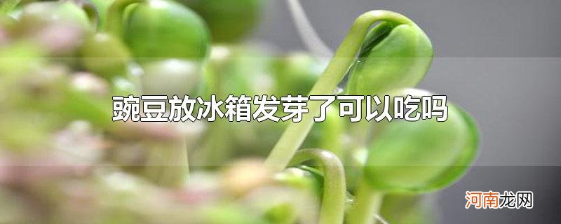 豌豆放冰箱发芽了可以吃吗优质