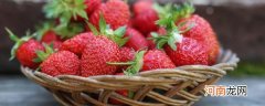 冬天草莓怎么保存时间长 冬天草莓的保存方法