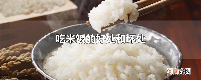 吃米饭的好处和坏处优质