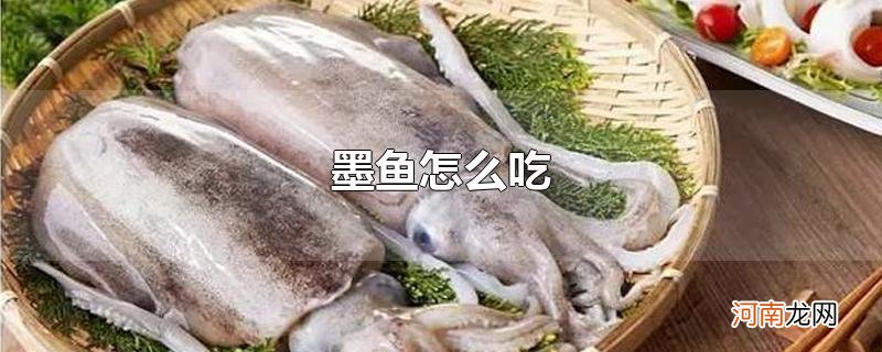 墨鱼怎么吃优质