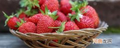 丹东草莓每年几月份上市 丹东草莓在12-5月开始上市对吗