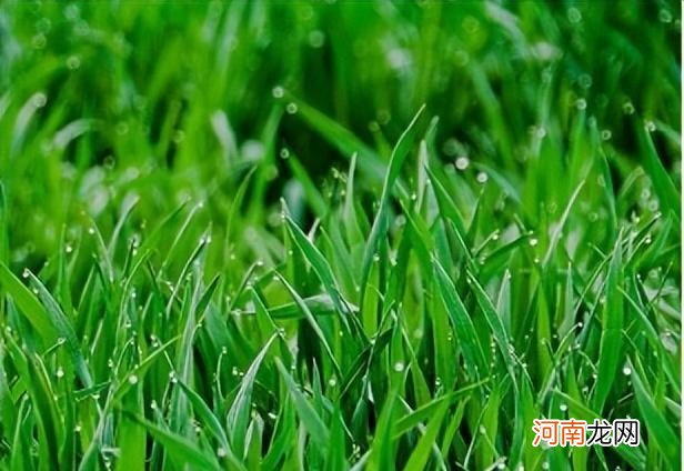 如何给宝宝正确使用益生菌 四个月宝宝吃益生菌用量