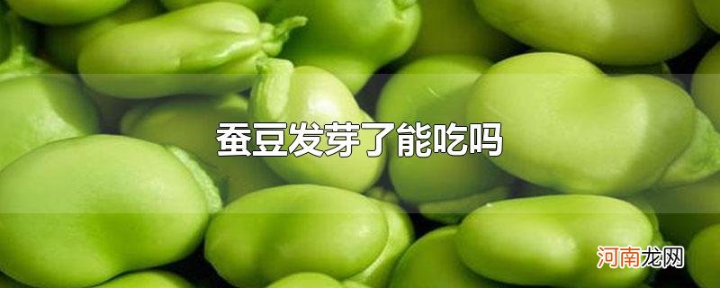 蚕豆发芽了能吃吗优质