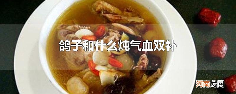 鸽子和什么炖气血双补优质