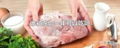 冰箱冻肉一年可以吃吗优质