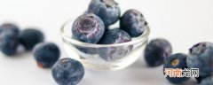 蓝莓种植技术方法是什么 蓝莓如何种植