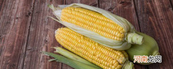 玉米种植方法是什么 玉米种植方法介绍