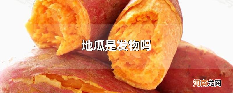 地瓜是发物吗优质