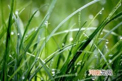 秋季宝宝吃什么防上火