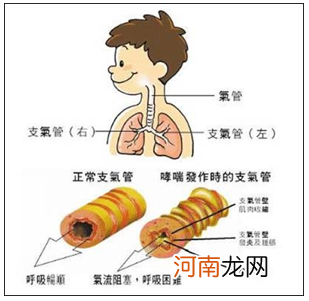 冬季 适合宝宝的营养品