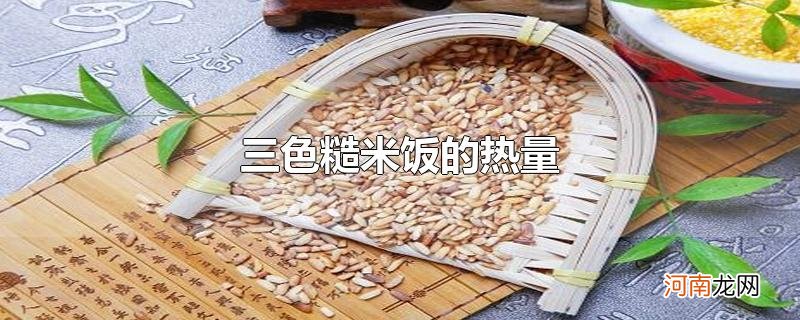 三色糙米饭的热量优质