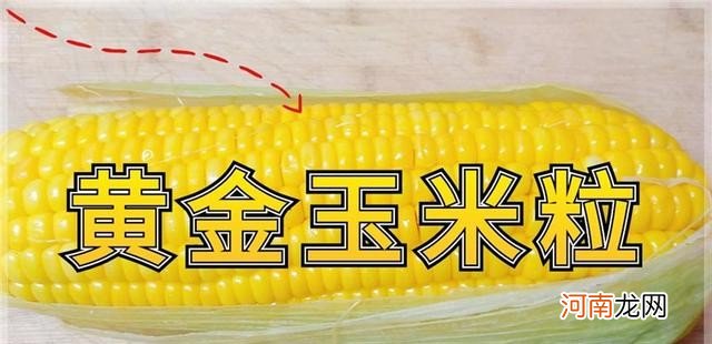 小炒肉最好吃的5种做法 农家小炒肉的做法