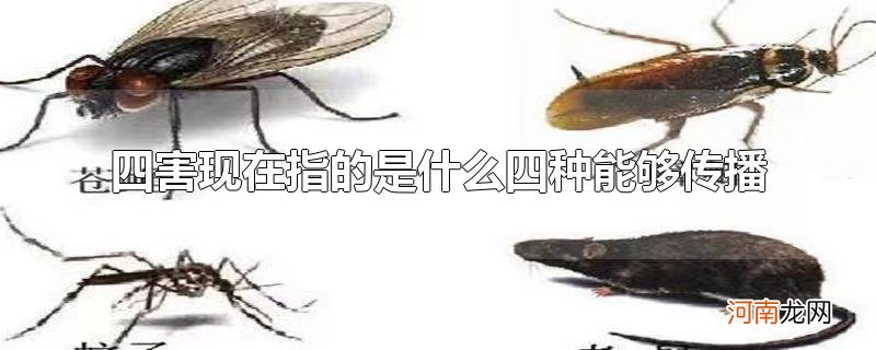 四害现在指的是什么四种能够传播优质