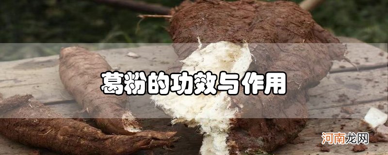 葛粉的功效与作用优质