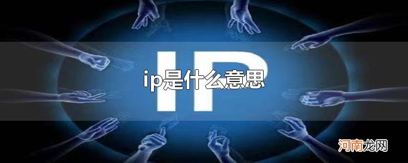 ip是什么意思优质