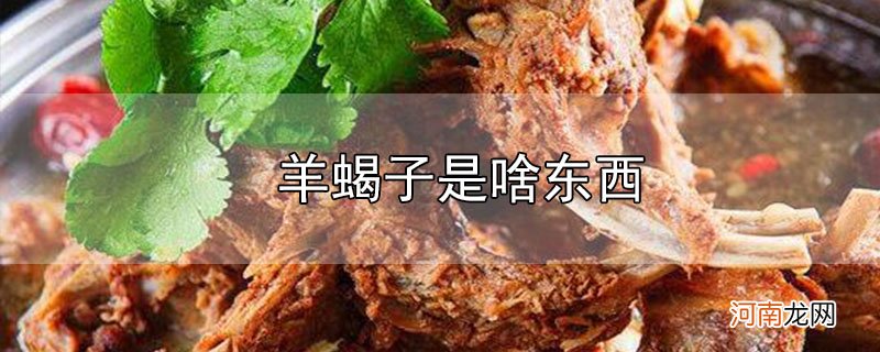 羊蝎子是啥东西优质