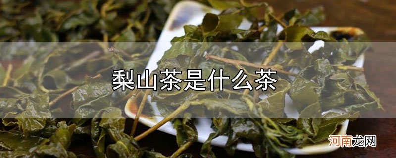 梨山茶是什么茶优质