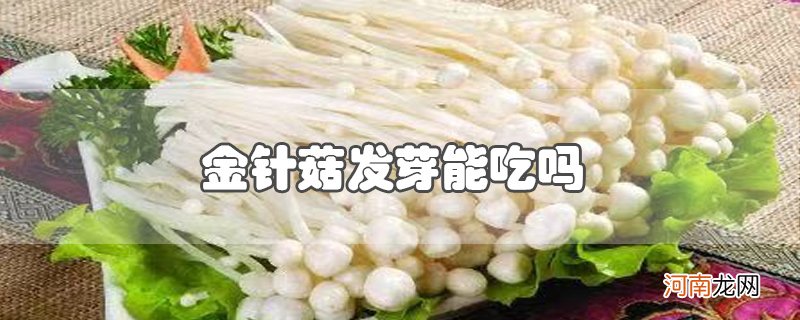 金针菇发芽能吃吗优质