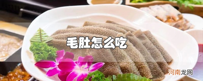 毛肚怎么吃优质