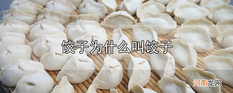 饺子为什么叫饺子优质