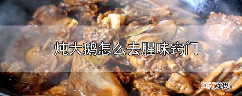 炖大鹅怎么去腥味窍门优质