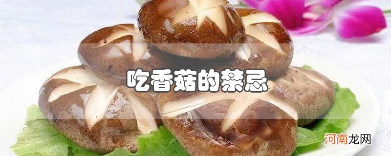 吃香菇的禁忌优质