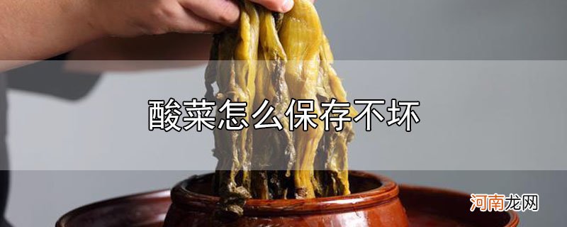 酸菜怎么保存不坏优质