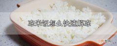 冻米饭怎么快速解冻优质