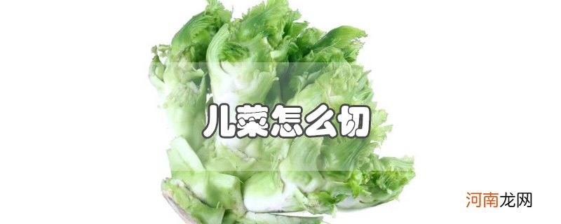 儿菜怎么切优质