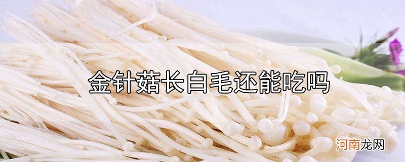 金针菇长白毛还能吃吗优质