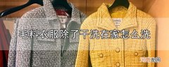 毛料衣服除了干洗在家怎么洗优质