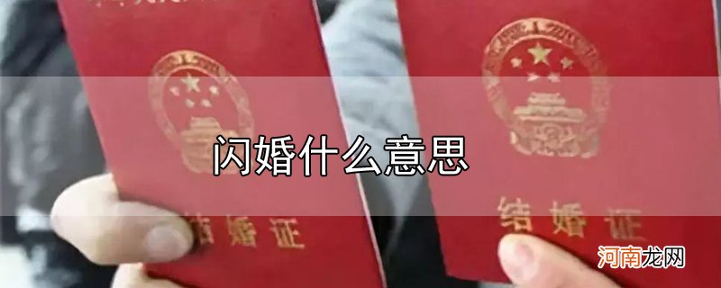 闪婚什么意思优质