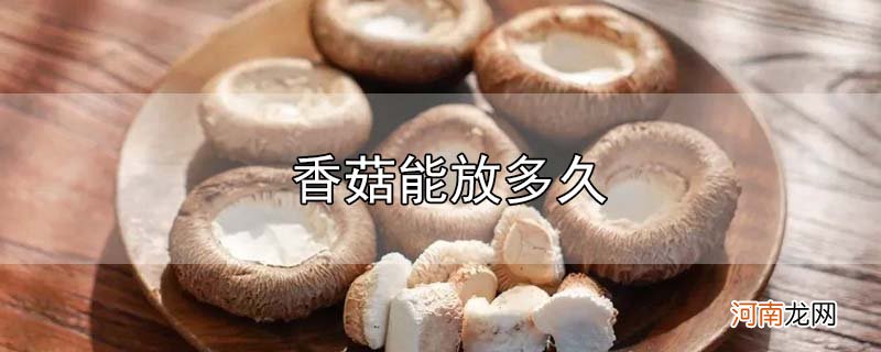 香菇能放多久优质